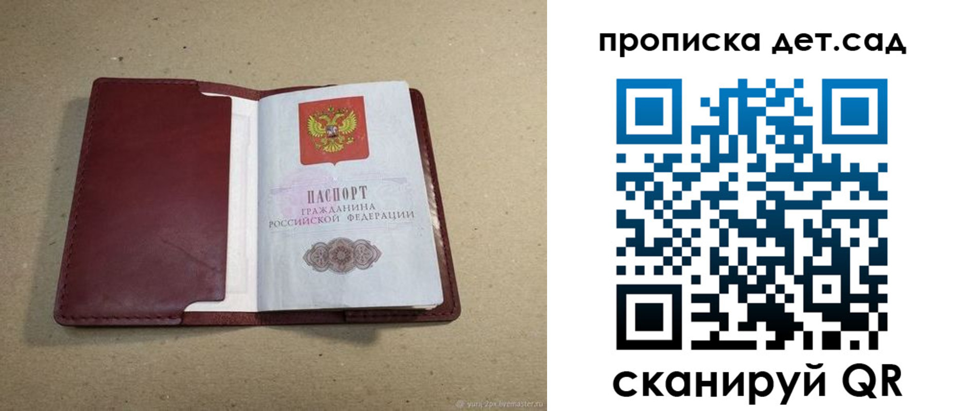 прописка 2025 в Коле