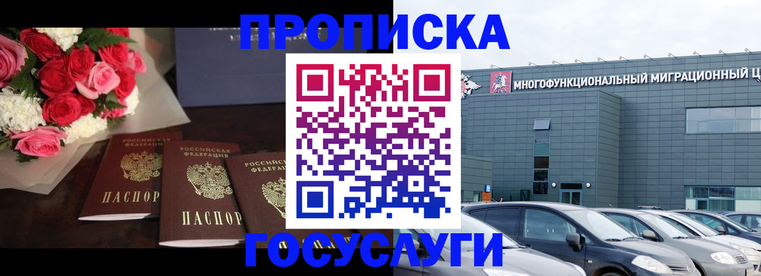 прописка законно в Коле